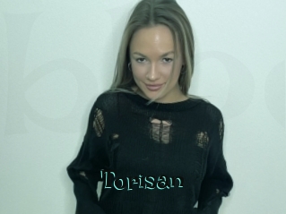 Torisan