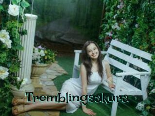 Tremblingsakura