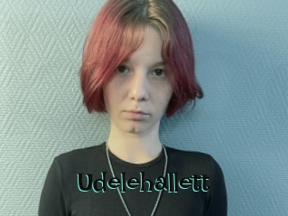 Udelehallett