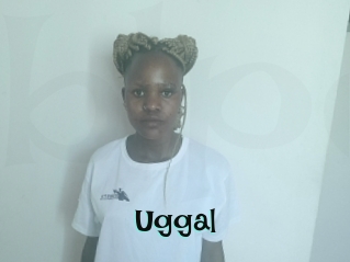 Uggal
