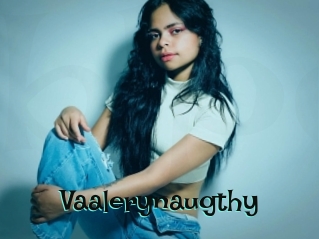 Vaalerynaugthy