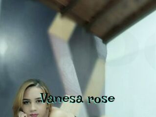 Vanesa_rose