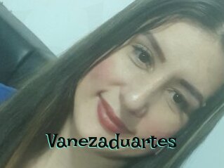 Vanezaduartes