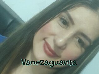 Vanezaguavita
