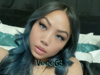 Veee63