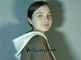 Vellumurr