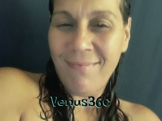 Venus36c