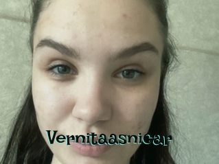 Vernitaasnicar