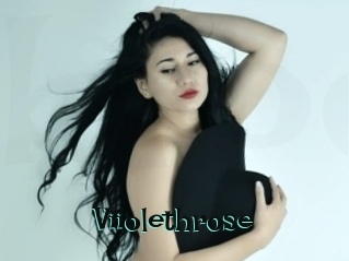 Viiolethrose