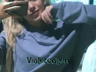 Violetcollen