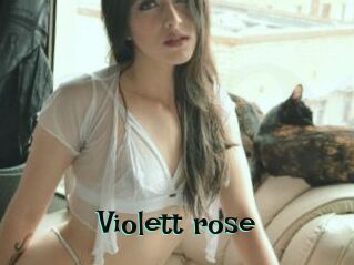 Violett_rose
