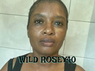 WILD_ROSEY40