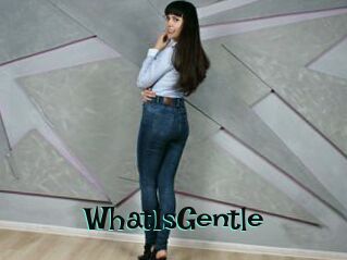 WhatIsGentle