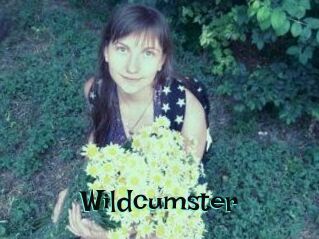 Wildcumster