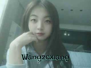 Wangzcxiang