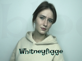 Whitneyfigge