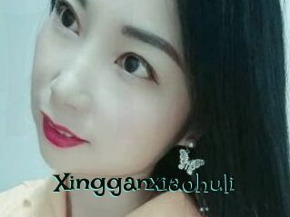 Xingganxiaohuli