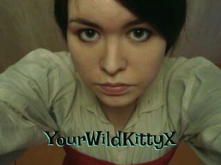 YourWildKittyX