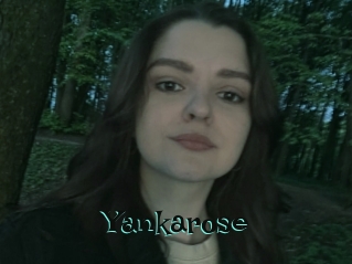 Yankarose