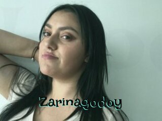 Zarinagodoy
