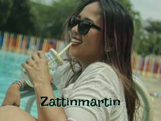 Zattinmartin