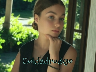 Zeldadrudge